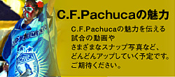 C.F.Pachuca̖